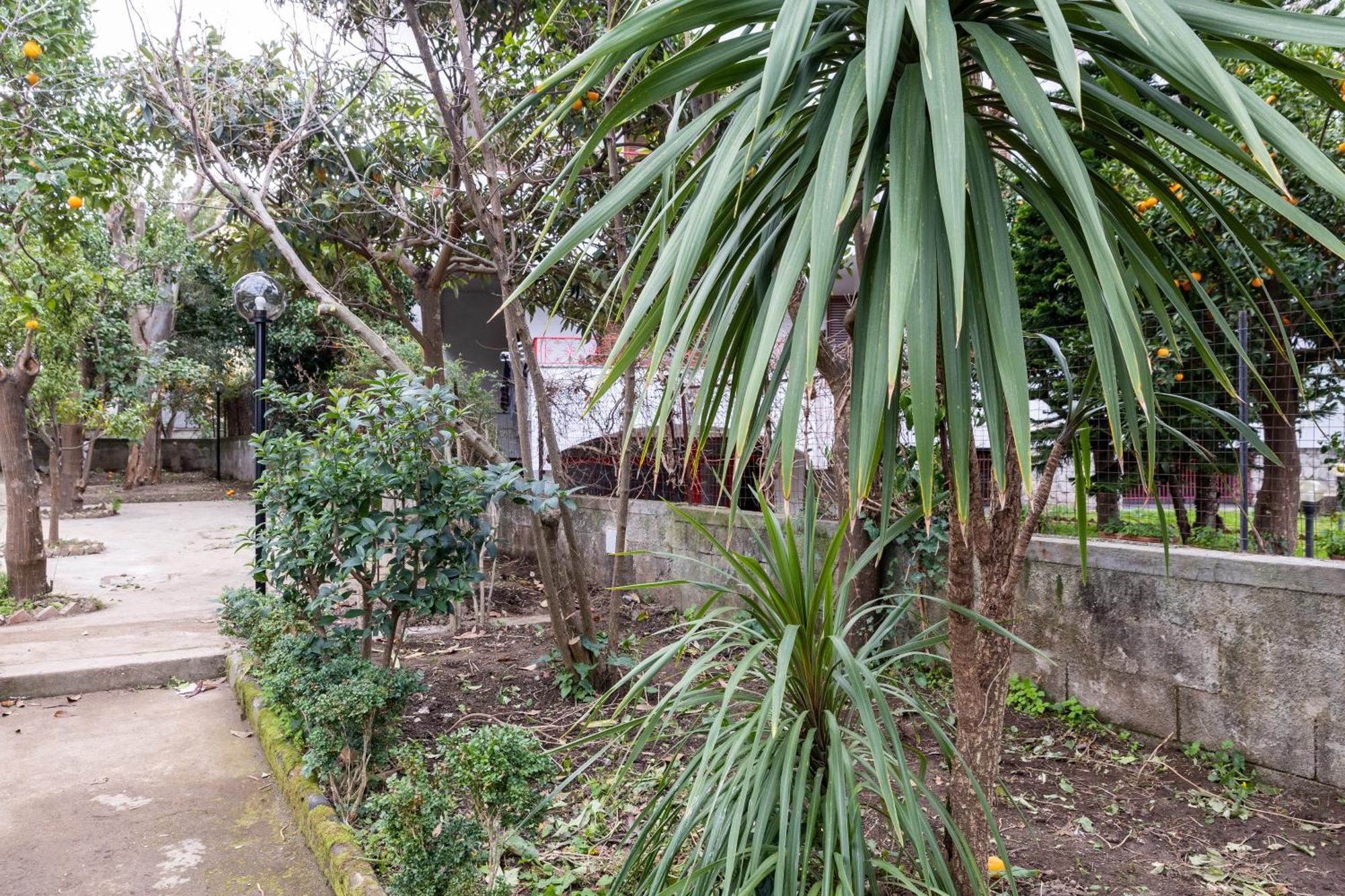 V Harmony In Sorrento Bed & Breakfast Meta Exterior photo